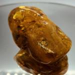 Ambre Baltique
