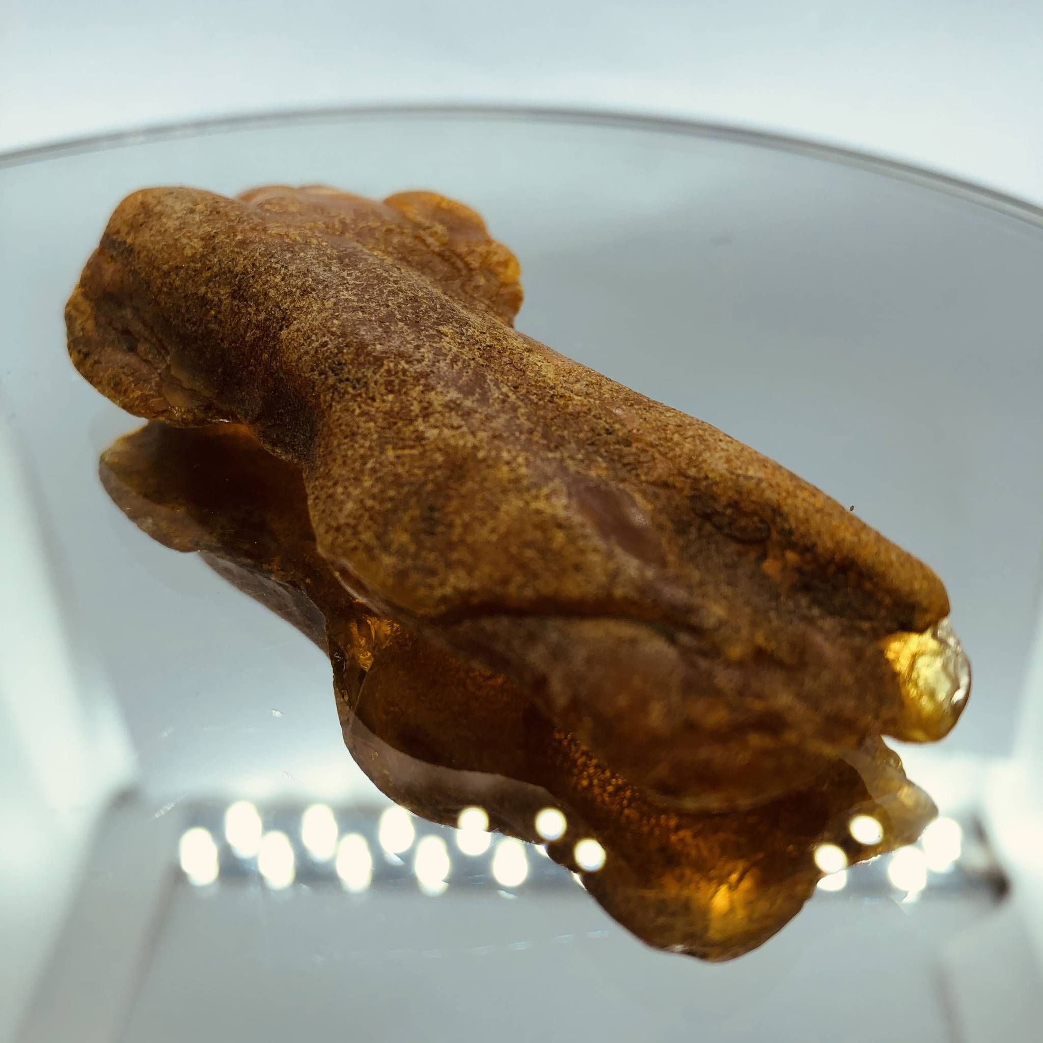 Ambre Baltique Brut Authentique 24,1 G / 5,2 X 4,4 X 1,4 Cm