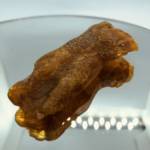 Ambre Baltique