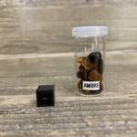 Ambre