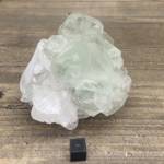 Fluorine
