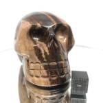 Bois Fossile