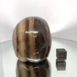 Bois Fossile