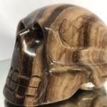 Bois Fossile