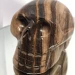 Bois Fossile