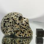 Jaspe dalmatien