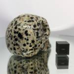 Jaspe dalmatien