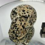 Jaspe dalmatien