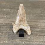 Dent de Requin