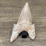 Dent de Requin