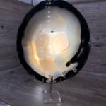 Agate