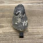 Trilobite