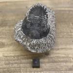Trilobite