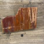 Bois Fossile