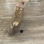 Bois Fossile