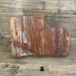 Bois Fossile