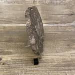 Bois Fossile