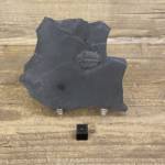 Trilobite