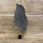 Trilobite