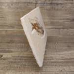 Poisson fossile Knightia
