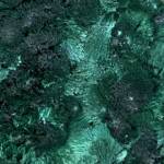Malachite Brute