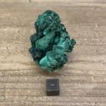 Malachite Brute