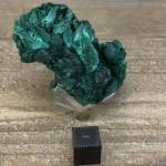 Malachite Brute