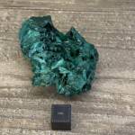 Malachite Brute