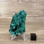 Malachite Brute