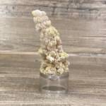 Baryte et Soufre