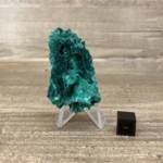 Malachite Brute