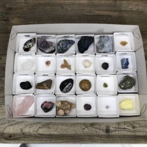 Boîte minéraux & fossiles