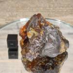 Blende Miel