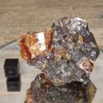 Blende Miel