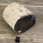 Tronc Bois Fossile Orégon