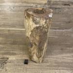 Tronc Bois Fossile Orégon