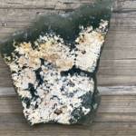 Fluorine