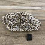 Chalcopyrite