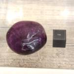 Fluorine Polie