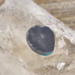 Cabochon Turquoise
