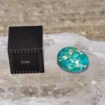 Cabochon Turquoise