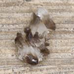 Quartz Fumé