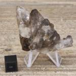Quartz Fumé