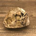 Opale Dendritique