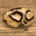 Galet Septaria