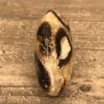 Galet Septaria