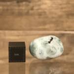 Larimar Poli