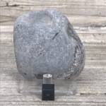 Ammonite de Grande Bretagne