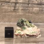 Pyromorphite de France