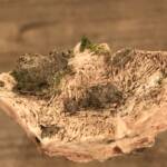 Pyromorphite de France